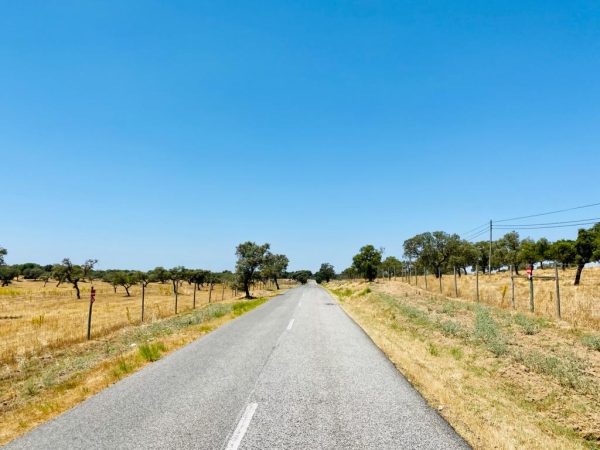 Guia e Roteiro - O Melhor da Estrada Nacional 2